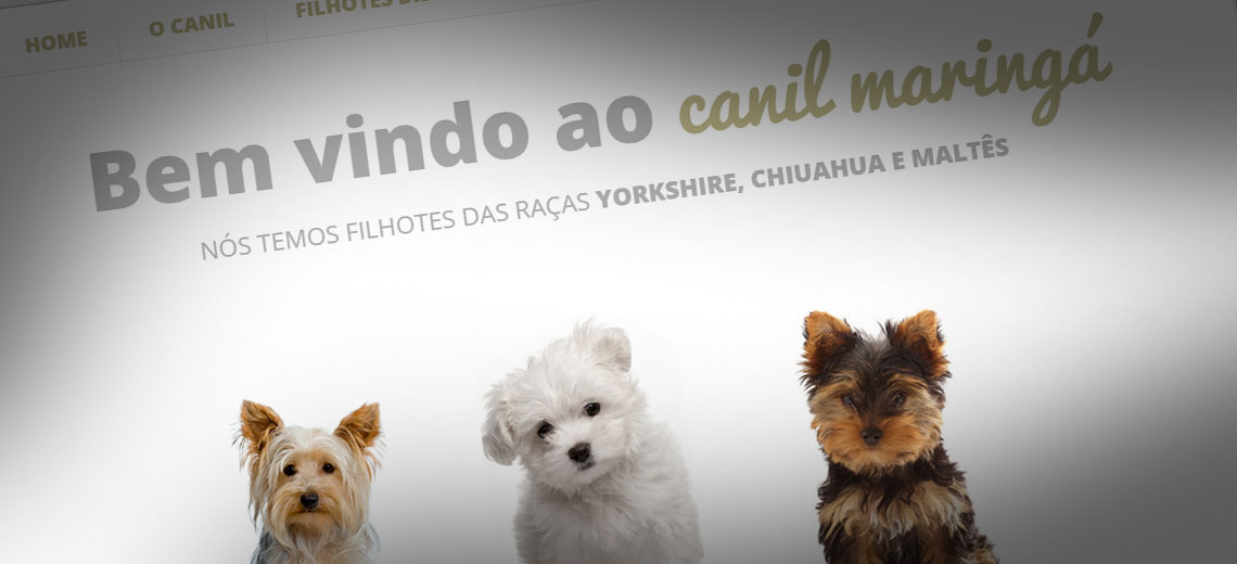 Novo site do Canil Maringá